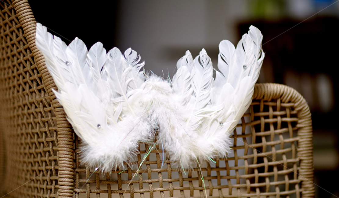 천사의날개,천사상징,하얀날개,깃털,angel