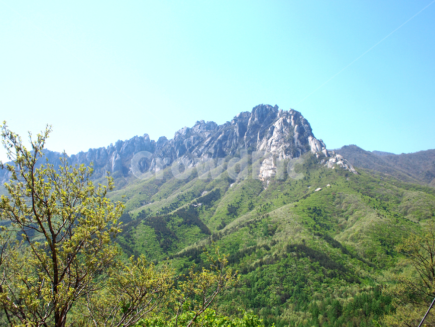 울산바위,나무,mountain,산,nature,자연,outdoors,강원도