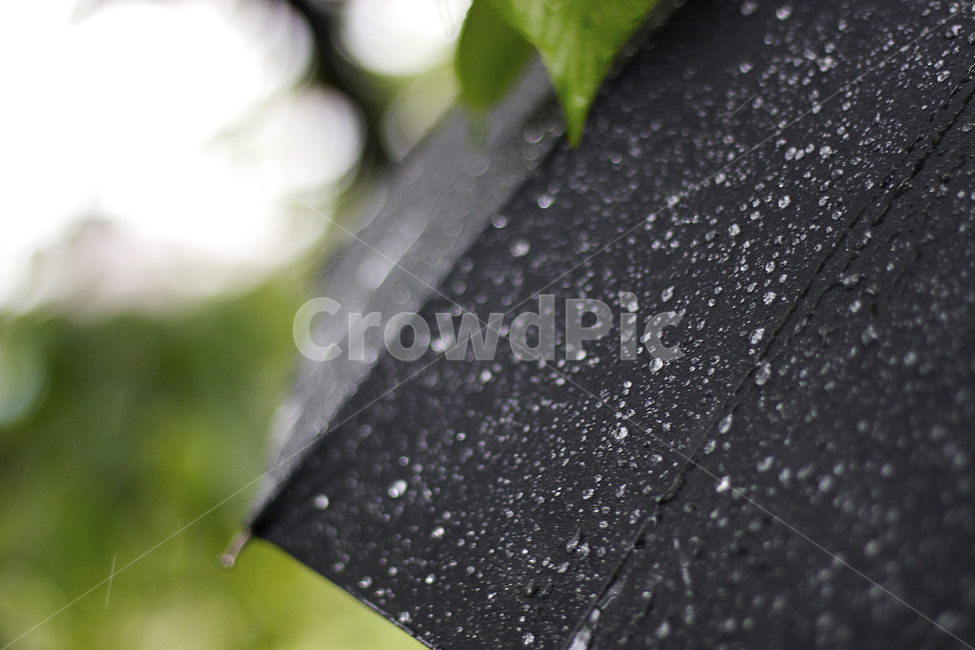 비,빗방울,우산,검정,rain,raindrop,umbrella,black