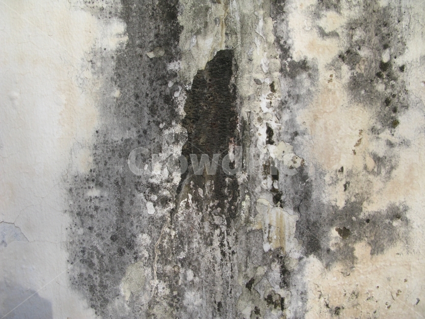 배경,돌,오래된,질감,거친,벽,텍스처,질감,패턴,texture,pattern