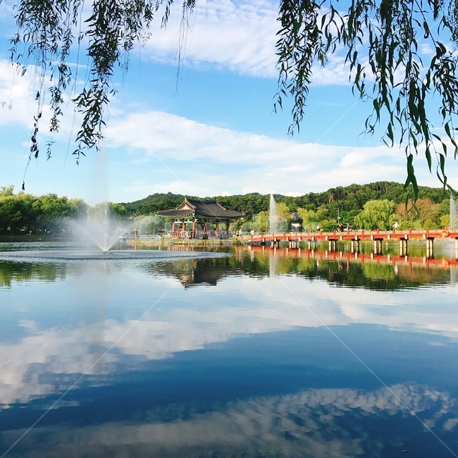 water,물,outdoors,옥외,nature,자연,tree,나무,plant,식물,호수,정자,연못,lake
