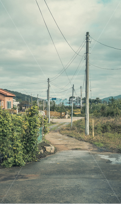 마을,길,전봇대,정겨움,고향,road,home,옥외,풍경,시골,마을,풍경,landscape,country,rural,town