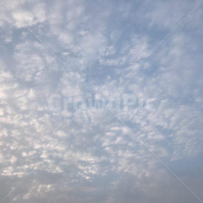 구름,하늘,cloud,blue,skyblue,sky,하늘색,자연,풍경,nature,landscape,outdoors,옥외