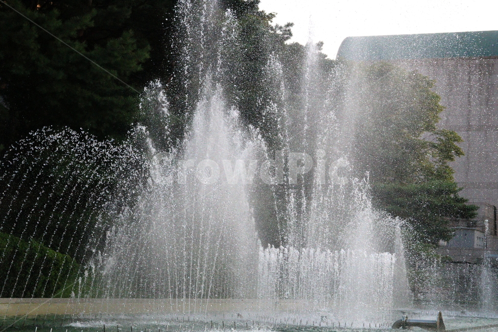 분수,분수대,물,공원,예술의전당,나무,소나무,자연,풍경,nature,landscape,water,fountain