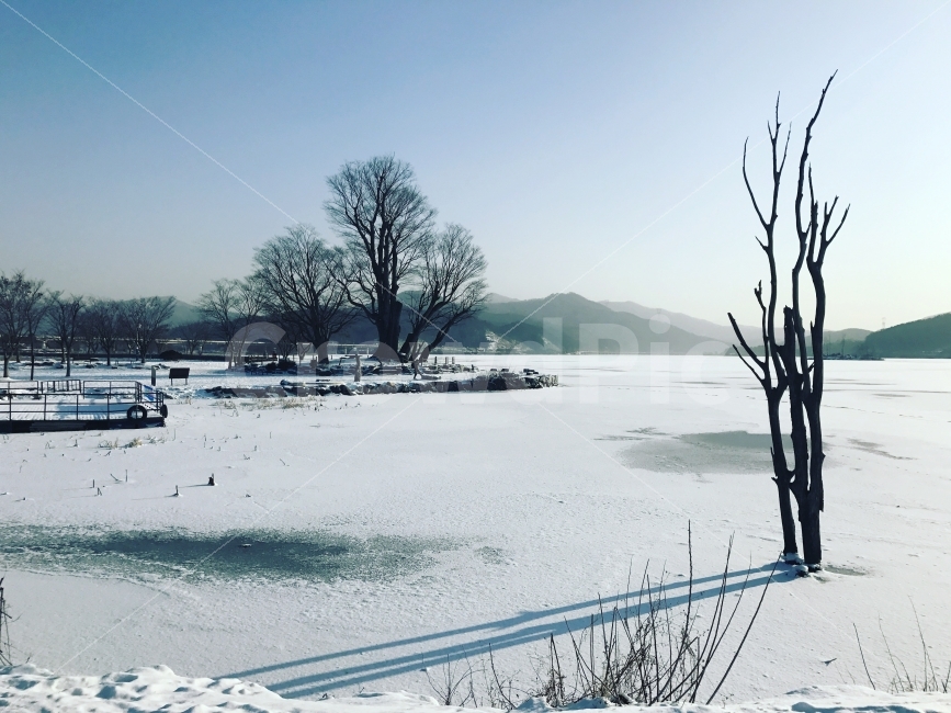 겨울,두물머리,드론,자연풍경,나무,겨울,계절,winter,season,자연,풍경,nature,landscape,한국자연풍경,한국자연경관,korea nature landscape,outdoors,옥외