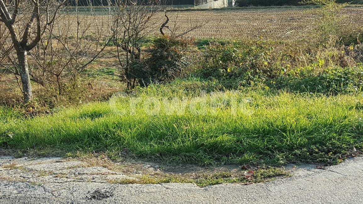 자연,풍경,추억,시골,겨울,풀,자연,풍경,nature,landscape