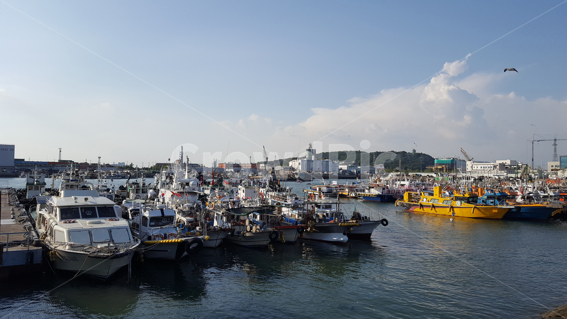 바다,부두,선박,정박,갈매기,sea,dock,pier,ships,anchor,seagull