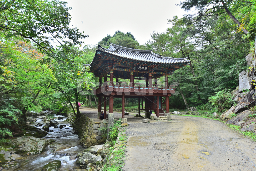 선암사,강선루,누각,불교건축물,한국전통,팔작지붕,문루,풍경,건축양식,기와지붕,단청,계곡,길,비포장도로,도로,흙길,땅,대지,ground,road,valley,계류,물,흐르다,암석,바위,돌,2층,나무,숲,자연,그린,환경,배경,바탕,백그라운드,background,green,진입로,입구