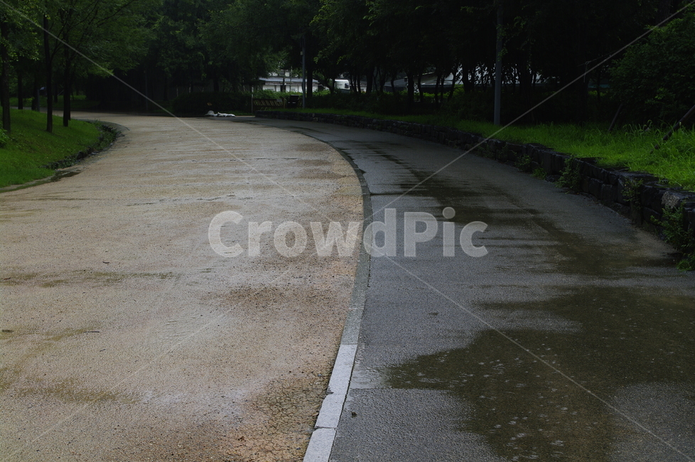 길,비,초록,물웅덩이,나무,식물,plant,자연,풍경,nature,landscape,비,비오는날,rain,rainy,asphalt,아스팔트,road,도로