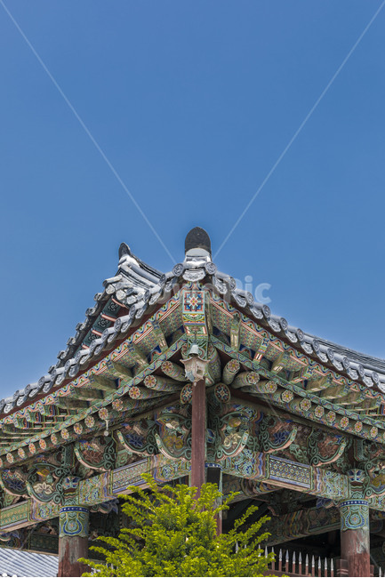 신륵사,종각,처마,단청,문화유산,사찰,기와,한국전통,한국문화,korean traditional,korean culture,건축물,건물외관,exterior,building,structure,architecture,construction