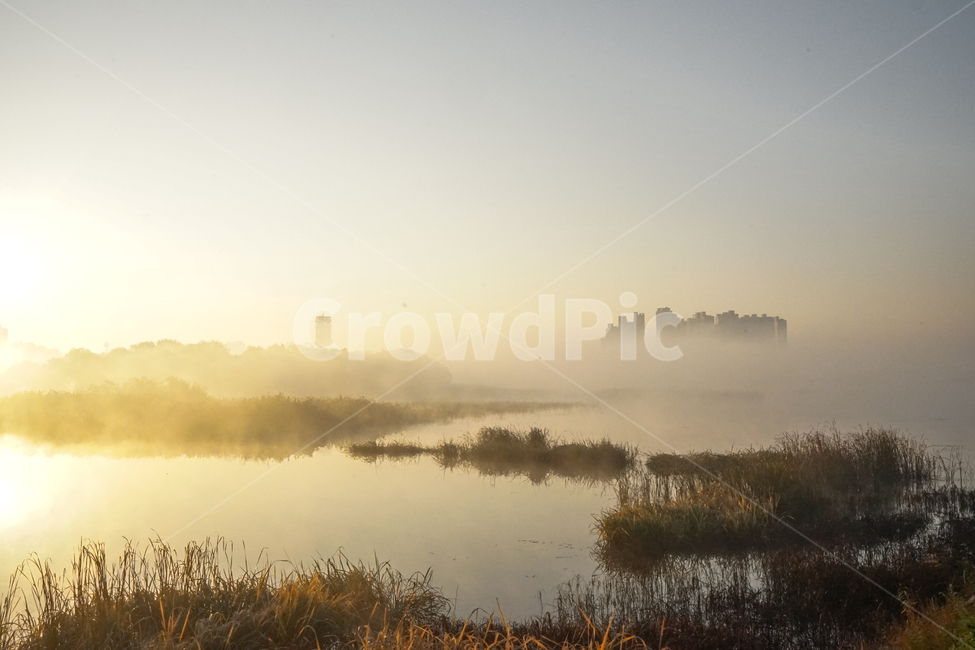 호수,새벽,안개,저수지,풍경,물안개,자연,일출,자연,풍경,nature,landscape,weather,날씨,outdoors,옥외