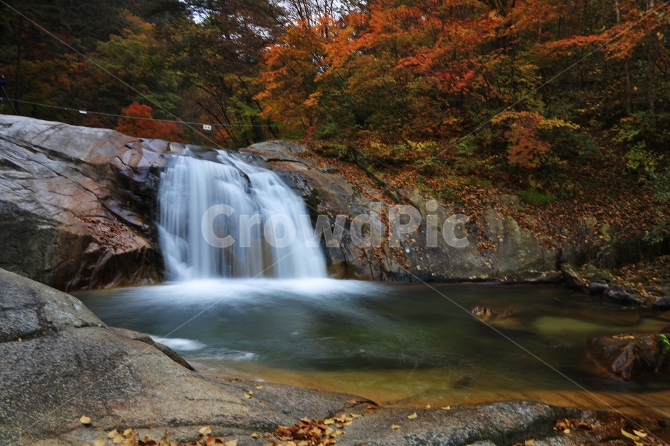 water,물,nature,outdoors,옥외,waterfall,폭포,tree,나무,plant,식물,leaf,잎,stream,흐름,물흐름,강원도,인제,방태산,방태산폭포,방태산가을,단풍,단풍잎,가을,추색,만추,낙엽,계곡,경치,경관,풍경,인제가을