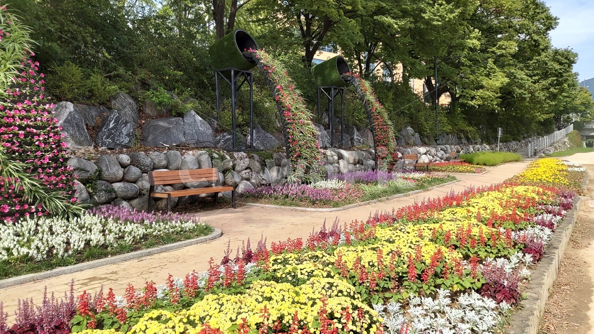 노원구,산책길,꽃,꽃밭,벤치,nowongu,flowers,flowergarden,walkway,walkingpath,bench