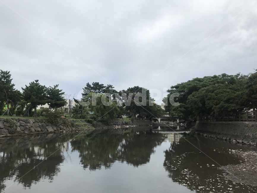 제주,외도동,월내천,산책,하천,자연,나무,제주도,jeju,jeju island,nature,outdoors,옥외