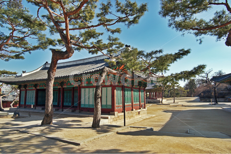 경춘전,창경궁,고건축,왕비,세자빈,조선시대,순조어필,고궁,소나무,단청