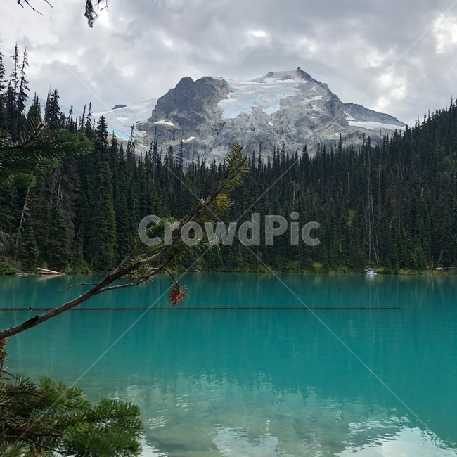 outdoors,옥외,전나무,fir,tree,나무,plant,water,물,식물,nature,abies,아비,자연,자연,풍경,nature,landscape