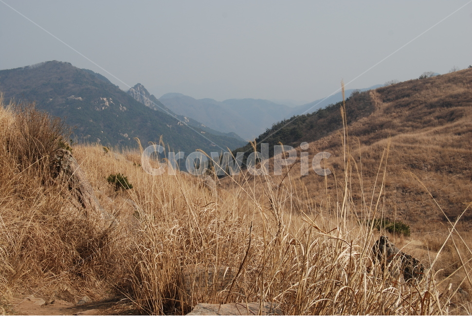화왕산,창녕화왕산성,비들재,등산로,능선,치유,여행,돌,산행,힐링,자연,동행,등산,계절,한국,한국명산,한국등산,풍경,나무,하늘,바람,땅,자연,풍경,nature,landscape,한국자연풍경,한국자연경관,korea nature landscape,slope,경사,outdoors,옥외