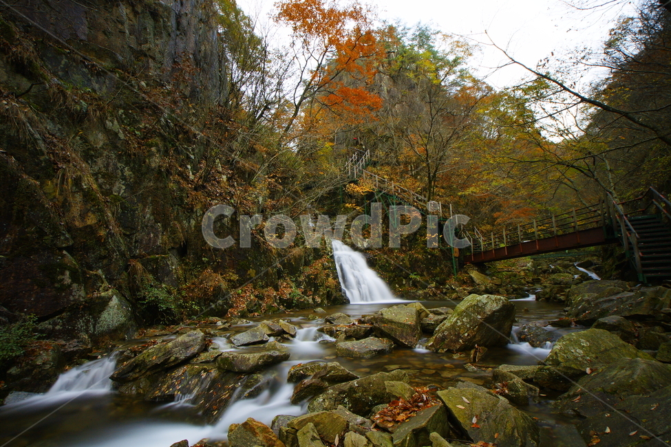 대둔산,폭포,논산,단풍,가을,가을,계절,fall,autumn,season,자연,풍경,nature,landscape,water,물,outdoors,옥외,river,강