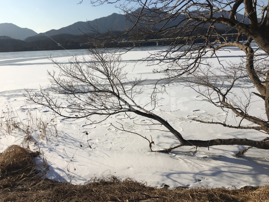 양평,자연,두물머리,따뜻함,겨울,겨울,계절,winter,season,자연,풍경,nature,landscape,한국자연풍경,한국자연경관,korea nature landscape,outdoors,옥외,ice,얼음