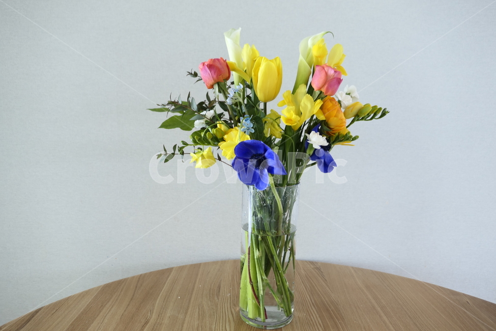 꽃다발,꽃꽂이,봄꽃,노란꽃,분홍꽃,꽃,flower,실내용화초,화분,화초,house plant
