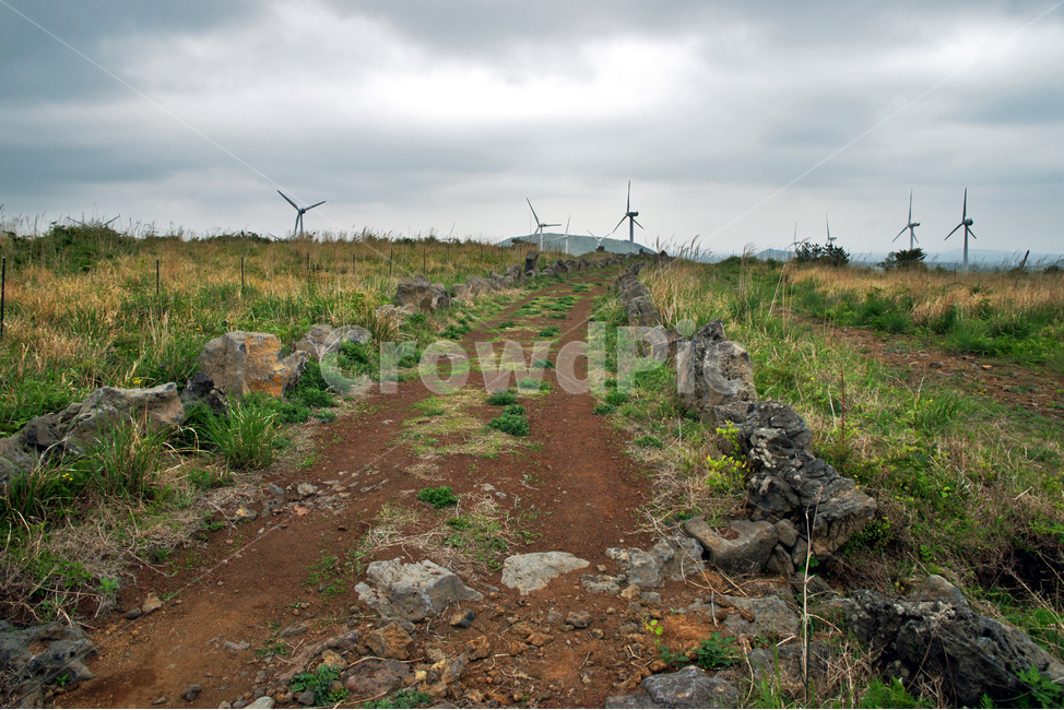 갑마장길,제주도,표선면,가시리,트레일,풍력발전기,자연,풍경,nature,landscape,제주도,jeju,jeju island