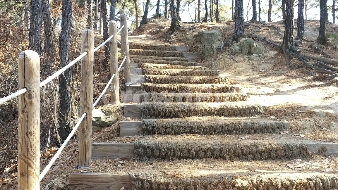 산,등산,자연,동산,뒤동산,등산로
