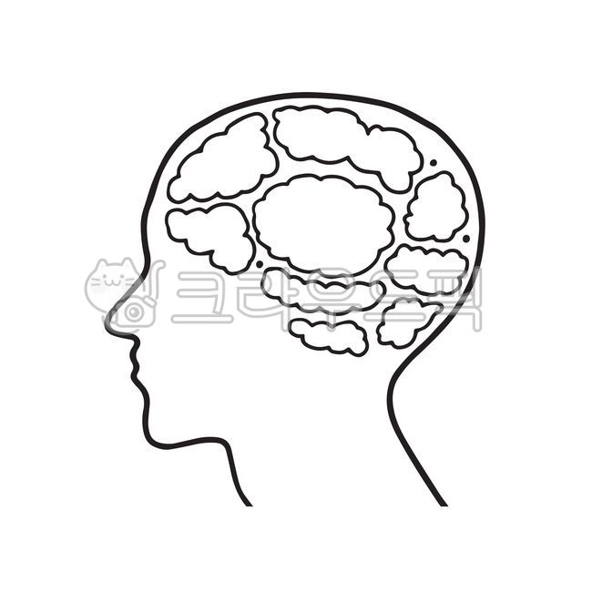 뇌,뇌질환,인체구조,뇌교육,뇌구조,두뇌운동,인체해부학,뇌건강,뇌아이콘아이스브레이킹,뇌일러스트,생각주머니,두뇌,머리속상상,머리생각