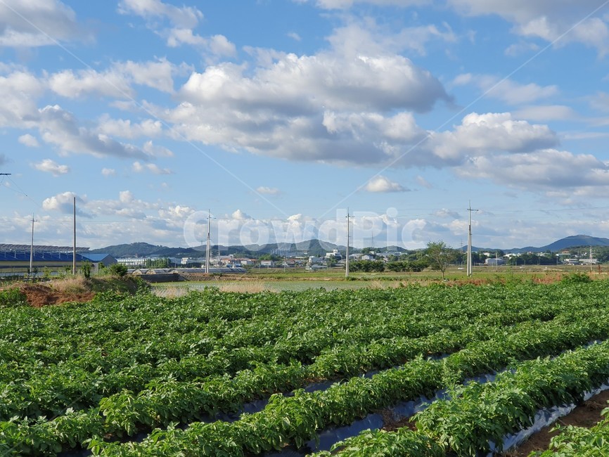 자연,날씨,구름,하늘,sky,자연,풍경,nature,landscape