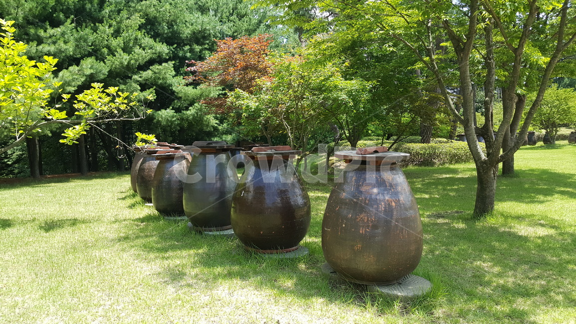 항아리,자연,식물,nature,plant,ceramicware