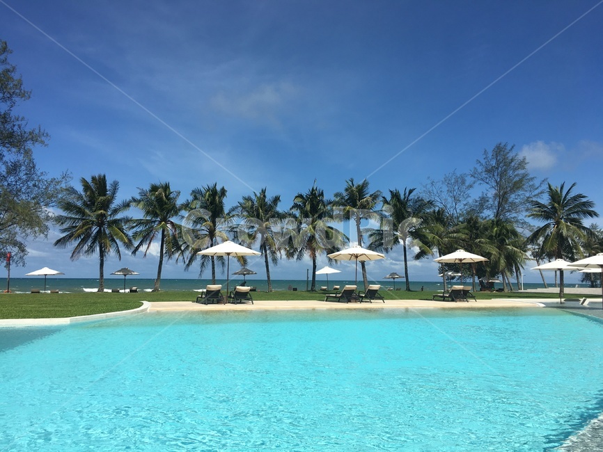 summer,여름,휴가,vacation,야자수,파라솔,리조트,수영장,바다,하늘,여름,계절,summer,season,여행,휴가,traveling,vacation,trip