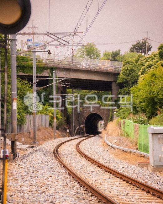 기차,기찻길,강원도,묵호,추억