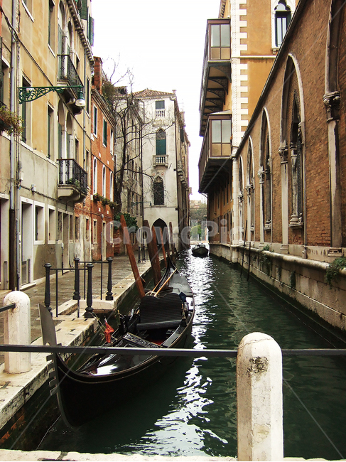 곤돌라,베니스,venice,운하,보트