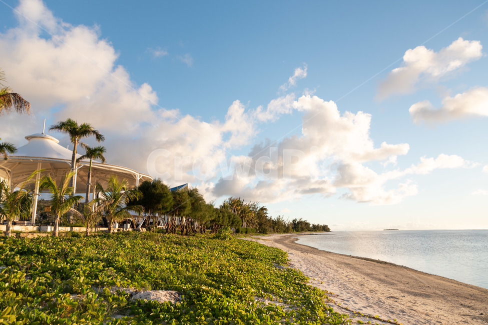 바다,해변,휴양지,하늘,구름,야자나무,맑음,beach,summer,vacation,landscape,palmtrees