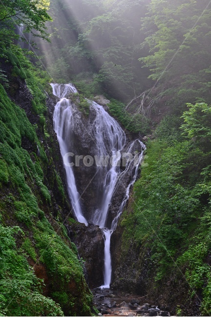 nature,자연,outdoors,옥외,water,물,waterfall,폭포,울릉도,봉래폭포,이끼계곡,경치,경관,비경,풍경