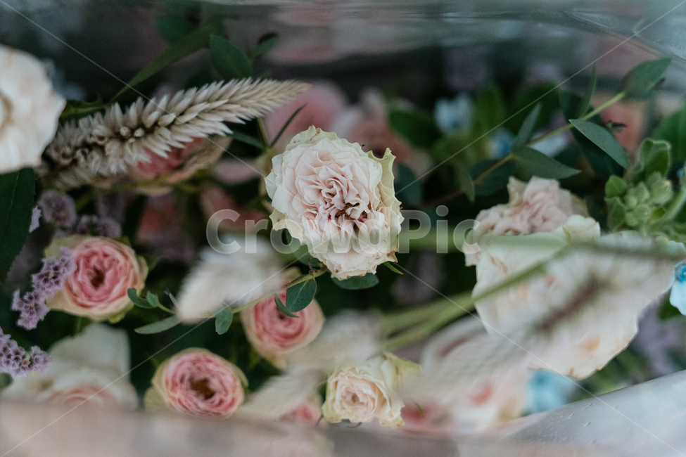 꽃,꽃꽂이,식물,flowers,botanical,꽃,flower
