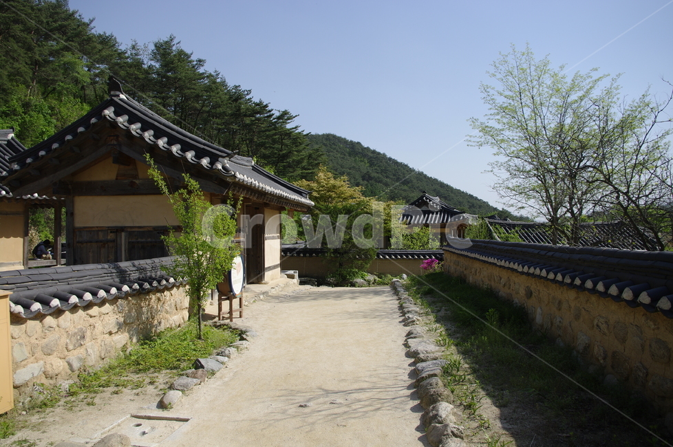 건축,전통건축,traditional,전통,기와지붕,담장,한옥,길,한국전통,한국문화,korean traditional,korean culture,건축물,건물외관,exterior,building,structure,architecture,construction