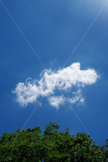 하늘,파란하늘,구름,자연,빛내림,여름,가을,가을하늘,시원함,청명함,맑음,날씨,자연,풍경,nature,landscape,outdoors,옥외,azure sky,푸른 하늘,sky