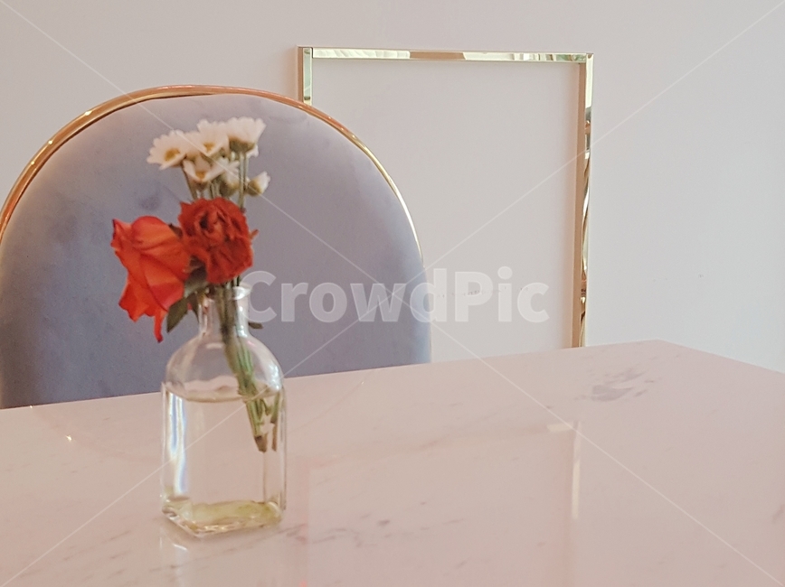 카페,꽃,감성,장미,고요함,실내용화초,화분,화초,house plant