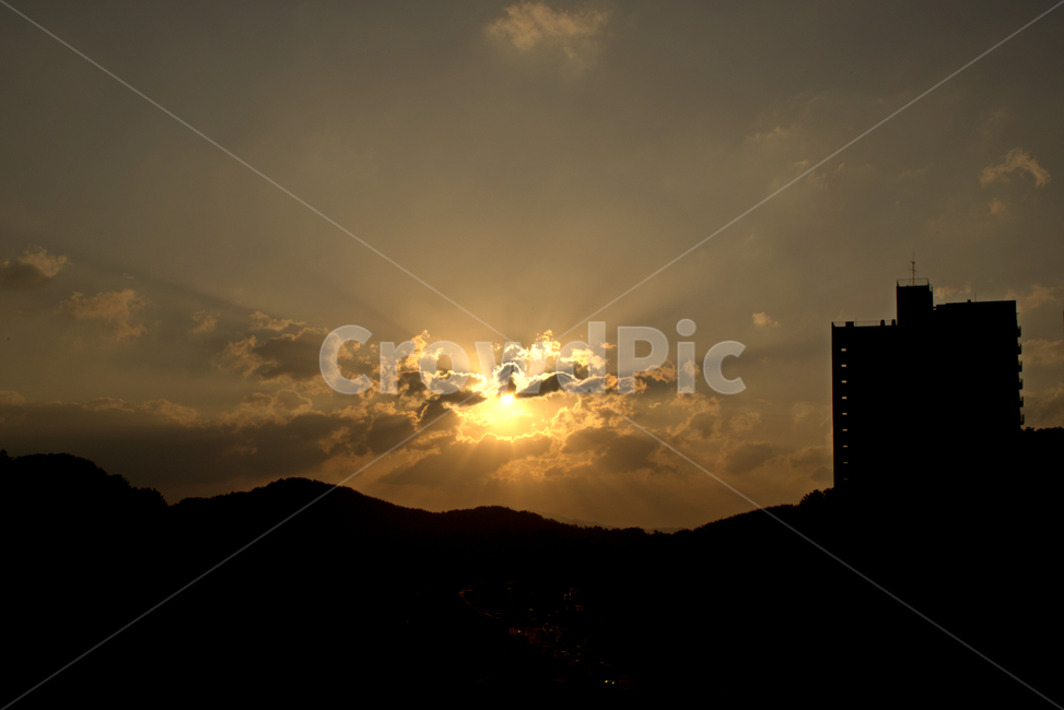 햇빛,flare,플레어,light,빛,sunlight
