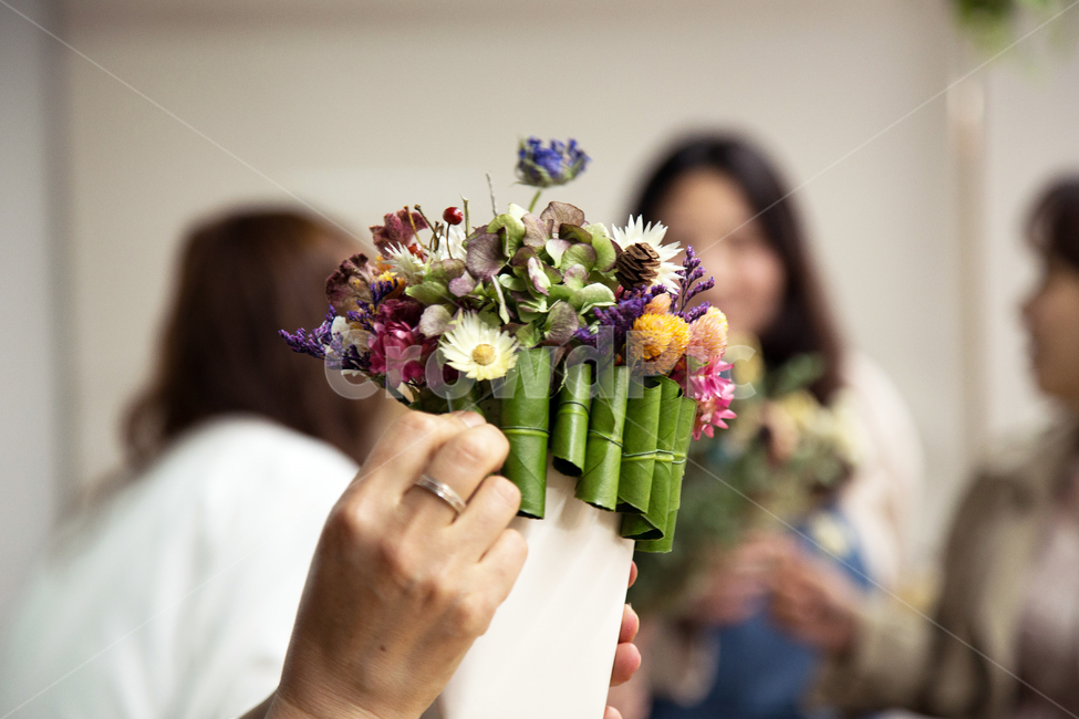 드라이플라워,수국,맨드라미,꽃꽂이,솔방울,식물,자연,plants,nature,꽃,flower,사람들,대중,군중,other people,crowd
