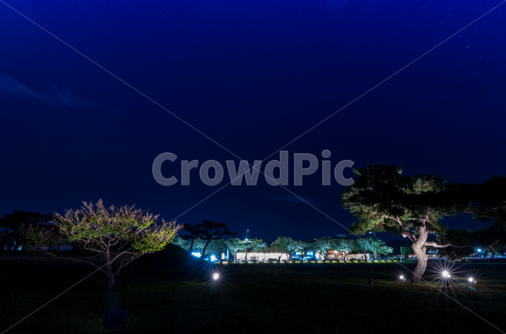 경주,야경,nature,자연,outdoors,옥외
