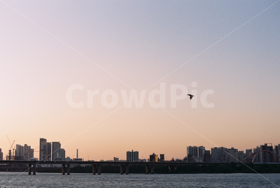 한강,야경,해질녘,노을,필름,필름사진,필름카메라,도시,풍경,city,landscape,감성,sensible,feeling,animal,동물,bird,새