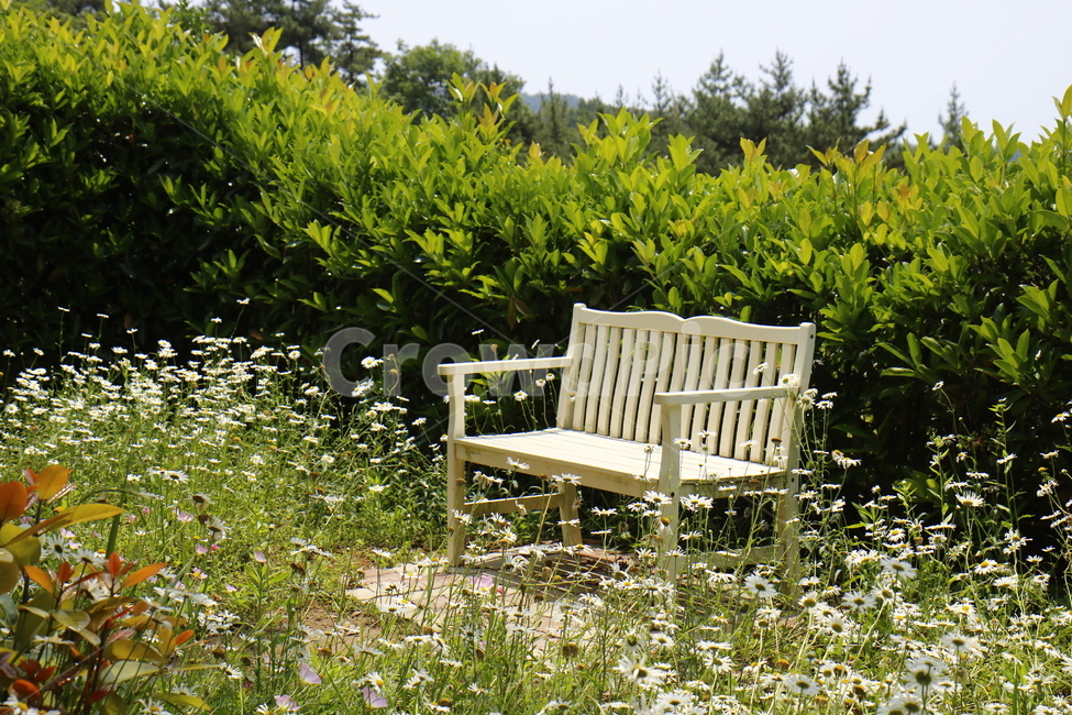 자연,풍경,경치,정원,공원,꽃,나무,하늘,풀,봄경치,여름경치,휴식,힐링,rest,relaxation,healing