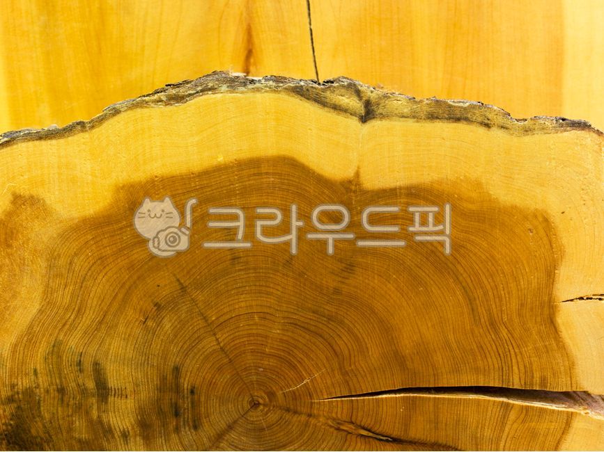 tree pattern,Any background,annual zone,juniper tree,tree,wood,design background,plywood