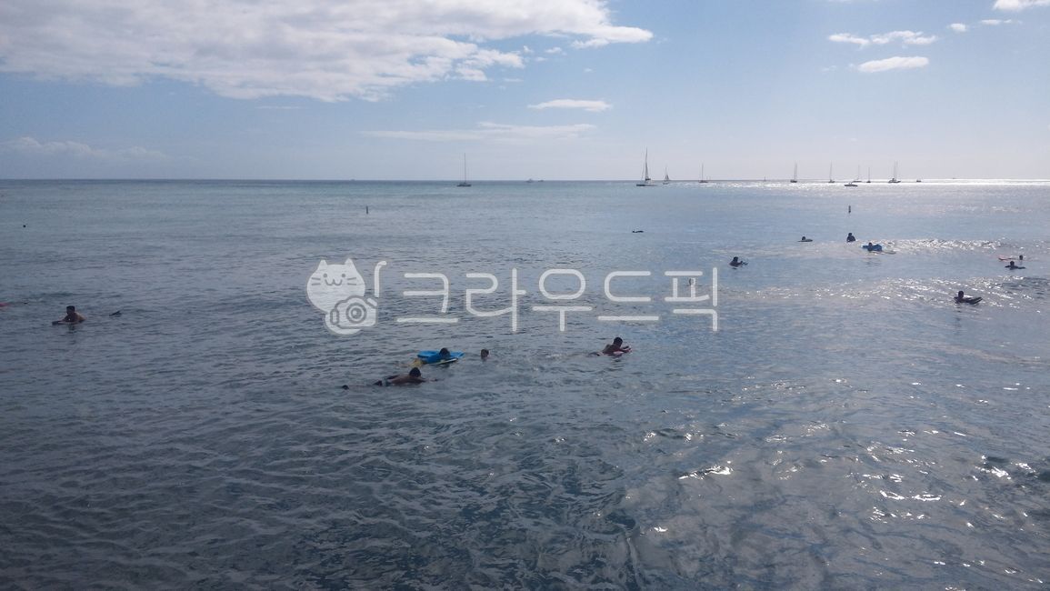 하와이,와이키키,서핑,휴양지,수영,수상스포츠,swimming