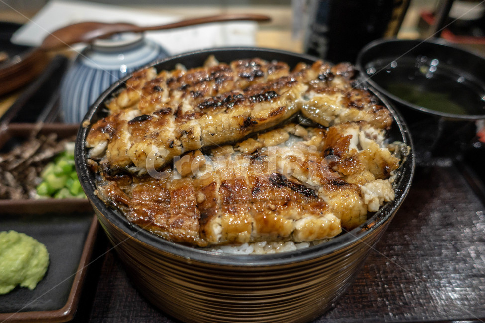 장어덮밥,장어,덮밥,음식,일본음식,일식,싱가폴,싱가포르,일본,돈부리,donburi,food,japanesefood,eel,우나기,우나기동,음식,식재료,요리,food,cook,meal,dishes,food reserves,일식,일본음식,일본요리,Japanese food,Japanese dishes,Japanese meal,Japanese cook