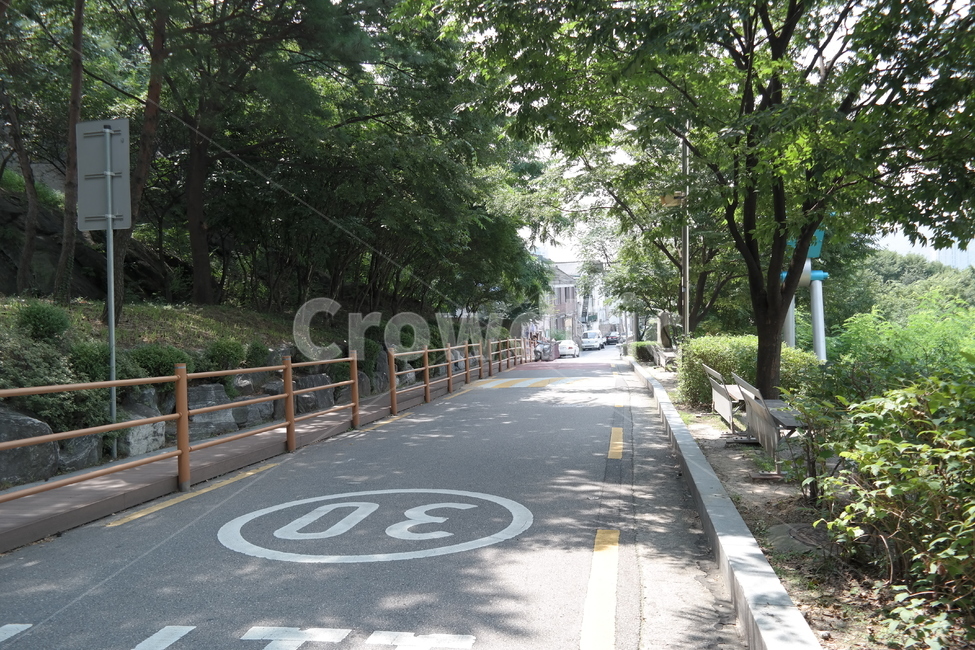plant,식물,옥외,garden,나무,하늘,landscape,korea,tree,place,outdoors,green,길,도로,서울,마을,식물,자연,plants,nature,나무,trees,wood