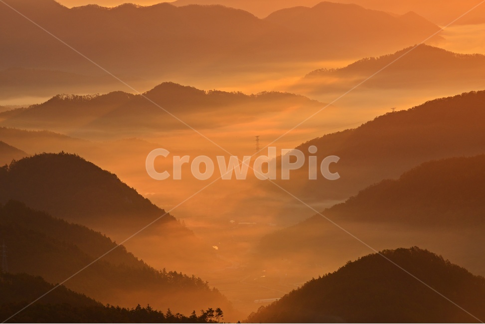 전남,영암,서광목장,아침,일출,가을,억새,항금색,nature,자연,outdoors,옥외,포인트,산그리매,자연,풍경,nature,landscape,한국자연풍경,한국자연경관,korea nature landscape