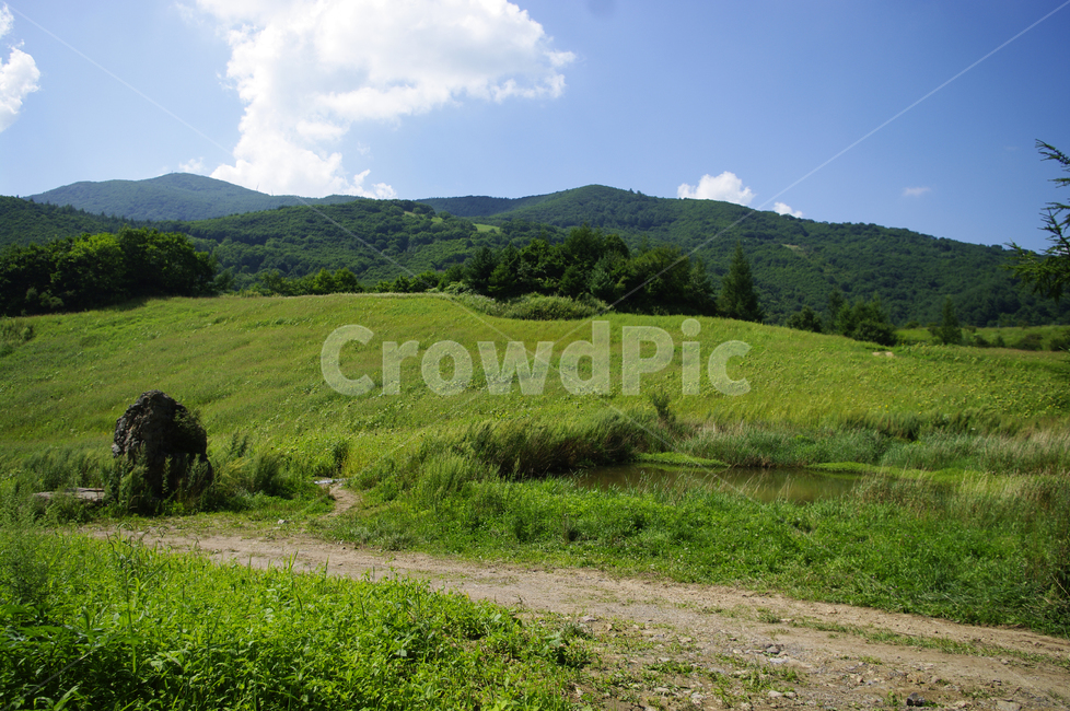 하늘,구름,풍경,자연,식물,들,나무,nature,흙길,field,자연,풍경,nature,landscape