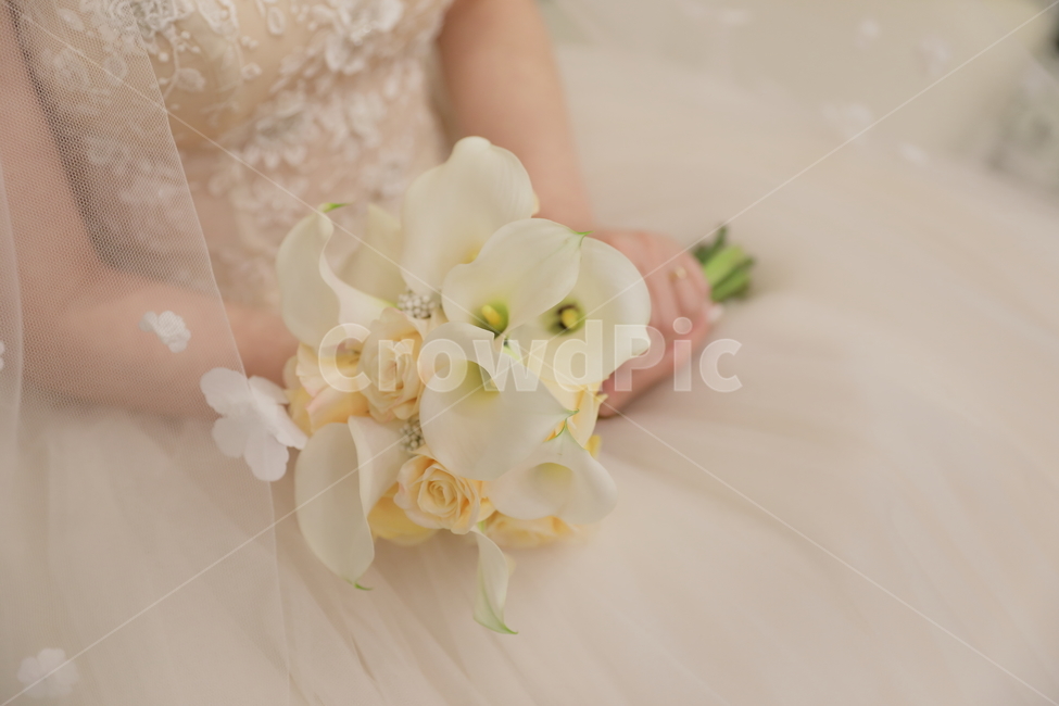 부케,웨딩,결혼,신부,웨딩드레스,웨딩부케,결혼식,순백,카라,장미,사람,인물,인간,human,person,여성,여자,woman,female,lady,결혼,혼례,웨딩,wedding,marriage,marry